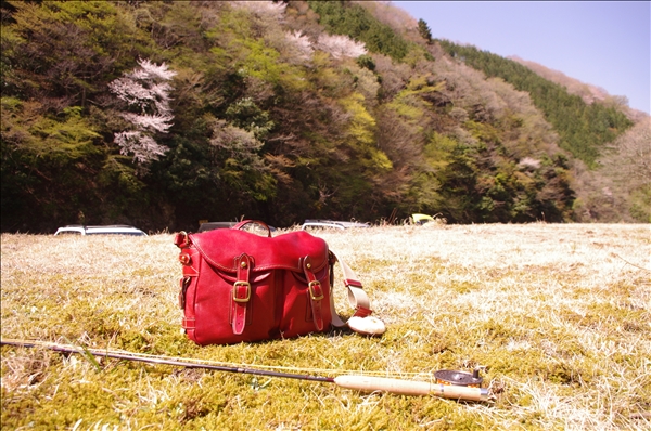 赤いロイヤルハリーと日本の美しい自然